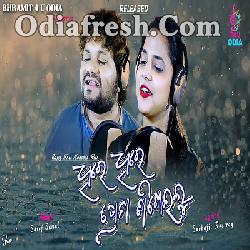 DHIRE DHIRE PREMA SIKHEILU - NEW ODIA SONG BY Humane sagar, Asima panda